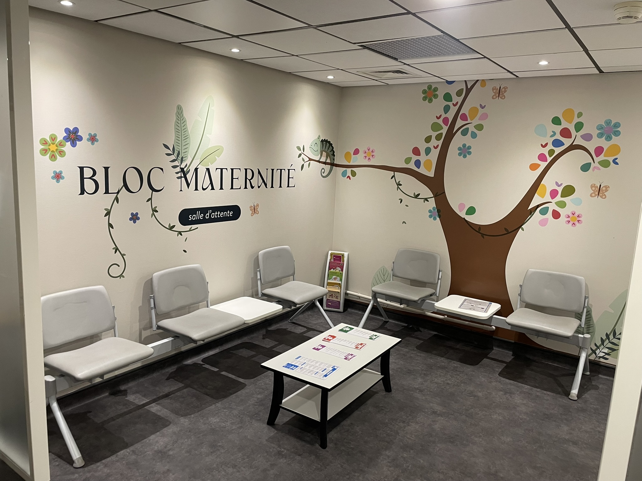 Rénovations du bloc obstétrical, site Emailleurs Colombier